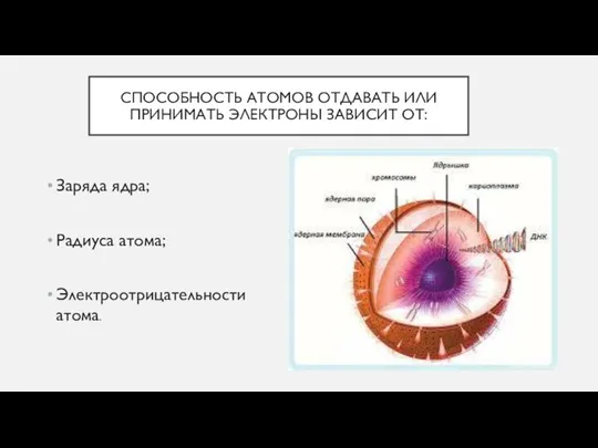 СПОСОБНОСТЬ АТОМОВ ОТДАВАТЬ ИЛИ ПРИНИМАТЬ ЭЛЕКТРОНЫ ЗАВИСИТ ОТ: Заряда ядра; Радиуса атома; Электроотрицательности атома.