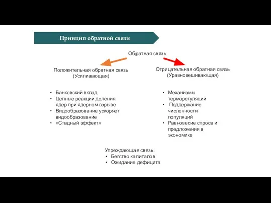 Принцип обратной связи Отрицательная обратная связь (Уравновешивающая) Положительная обратная связь (Усиливающая) Обратная