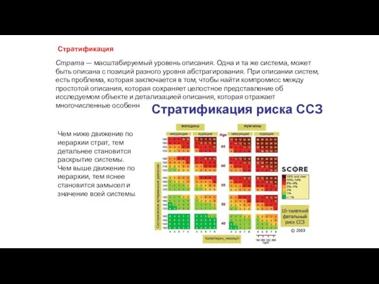 Страта — масштабируемый уровень описания. Одна и та же система, может быть