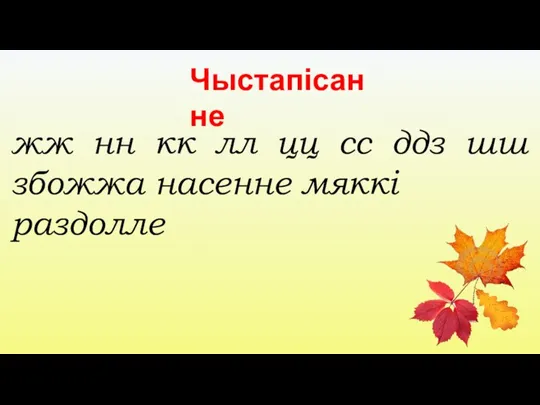 Чыстапісанне жж нн кк лл цц сс ддз шш збожжа насенне мяккі раздолле