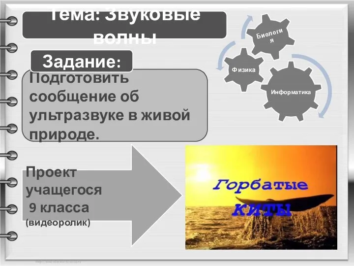 Тема: Звуковые волны Подготовить сообщение об ультразвуке в живой природе. Задание: Проект учащегося 9 класса (видеоролик)