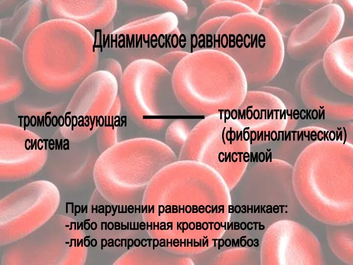 Динамическое равновесие тромбообразующая система тромболитической (фибринолитической) системой При нарушении равновесия возникает: -либо