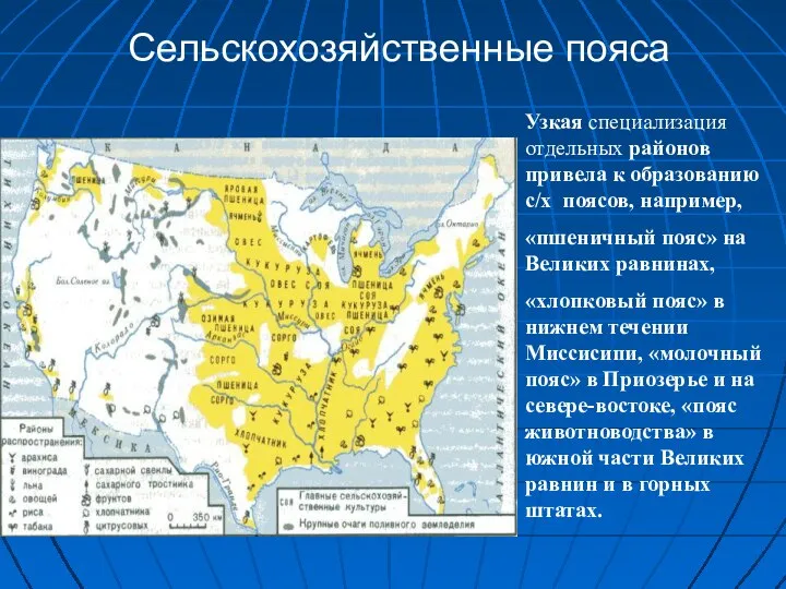 Сельскохозяйственные пояса Узкая специализация отдельных районов привела к образованию с/х поясов, например,