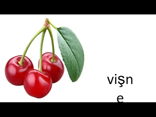 vişne