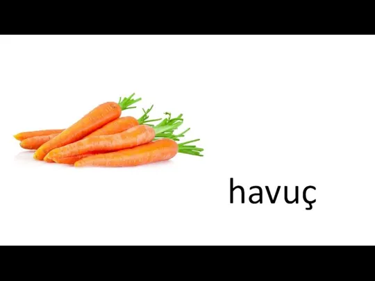 havuç