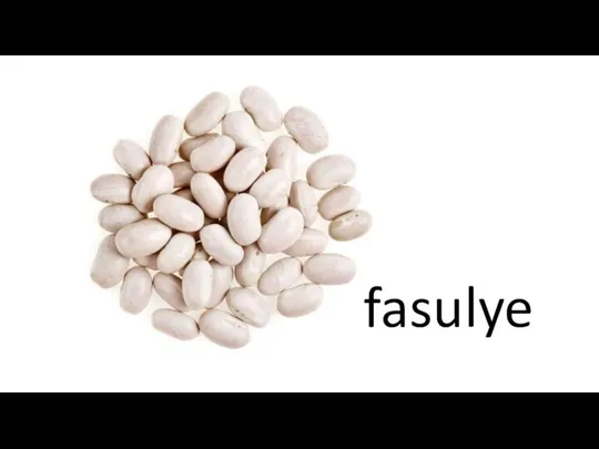 fasulye