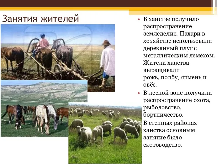 Занятия жителей В ханстве получило распространение земледелие. Пахари в хозяйстве использовали деревянный