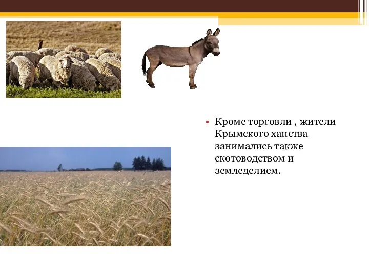 Кроме торговли , жители Крымского ханства занимались также скотоводством и земледелием.