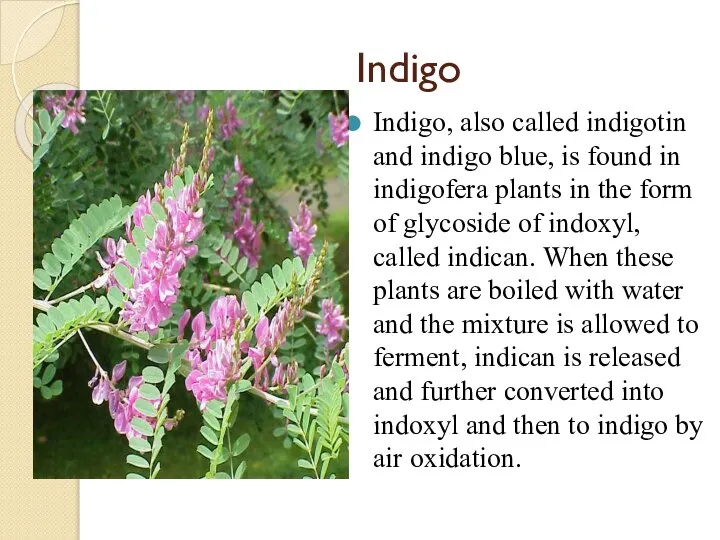 Indigo Indigo, also called indigotin and indigo blue, is found in indigofera