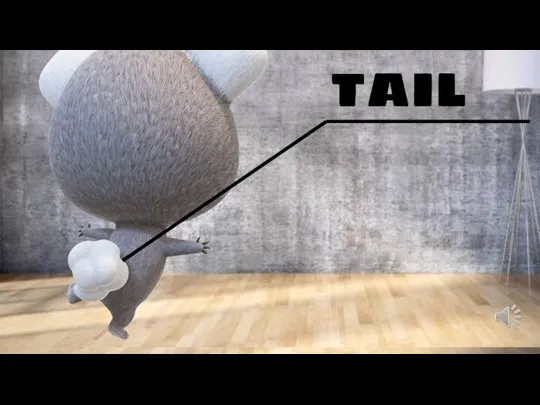 BODY PARTS TAIL