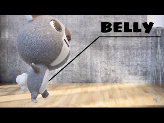 BODY PARTS BELLY