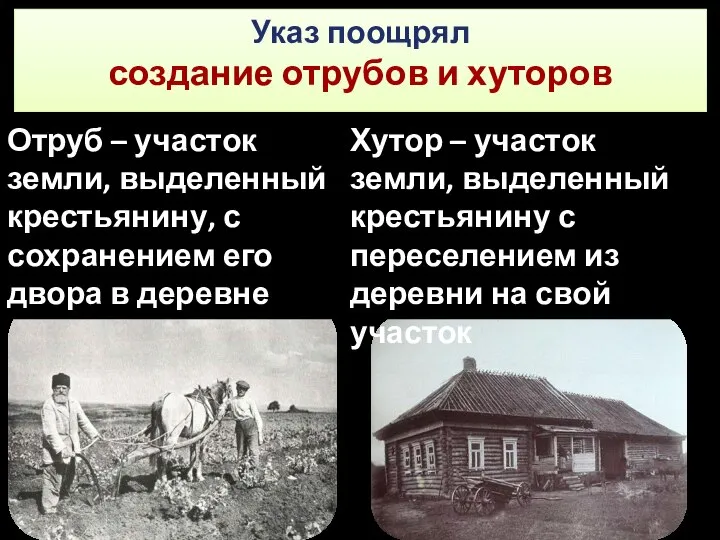 Указ поощрял создание отрубов и хуторов Отруб – участок земли, выделенный крестьянину,