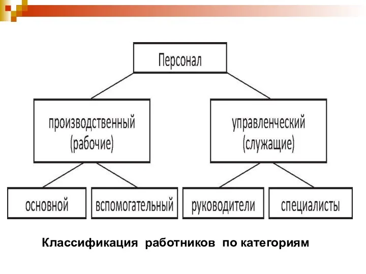 Классификация работников по категориям