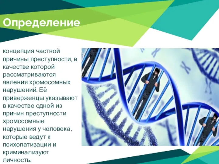 Определение концепция частной причины преступности, в качестве которой рассматриваются явления хромосомных нарушений.