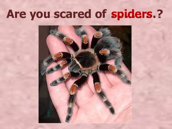 Are you scared of ? . . . . . . . spiders