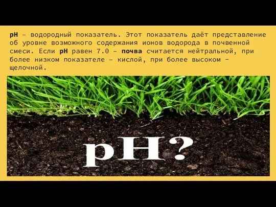 pH – водородный показатель. Этот показатель даёт представление об уровне возможного содержания