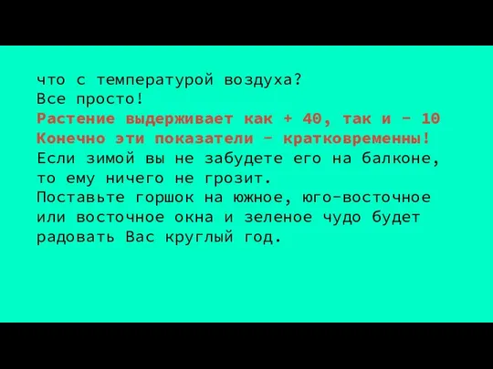 что с температурой воздуха? Все просто! Растение выдерживает как + 40, так