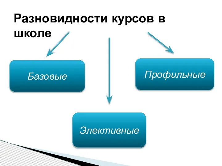 Разновидности курсов в школе Базовые Профильные Элективные