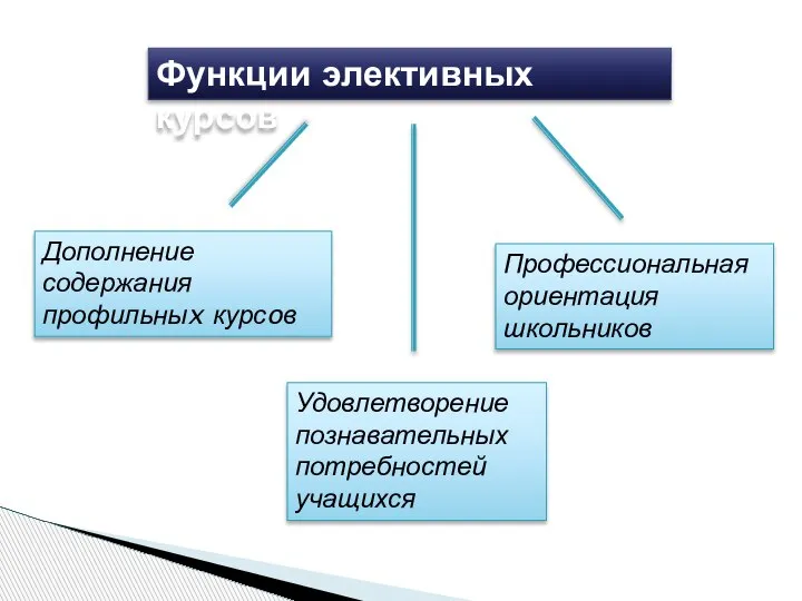 Функции элективных курсов Дополнение содержания профильныx курсoв Удовлетворение познавательных потребностей учащихся Профессиональная ориентация школьников