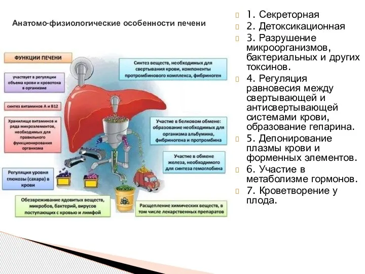 1. Секреторная 2. Детоксикационная 3. Разрушение микроорганизмов, бактериальных и других токсинов. 4.