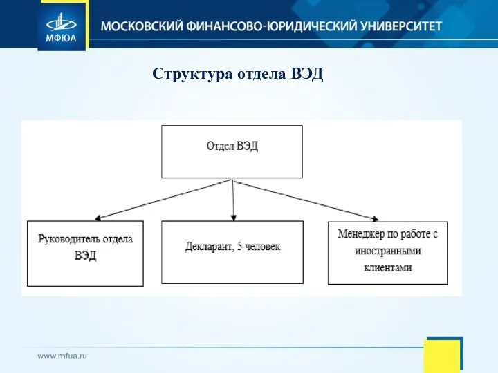 Структура отдела ВЭД