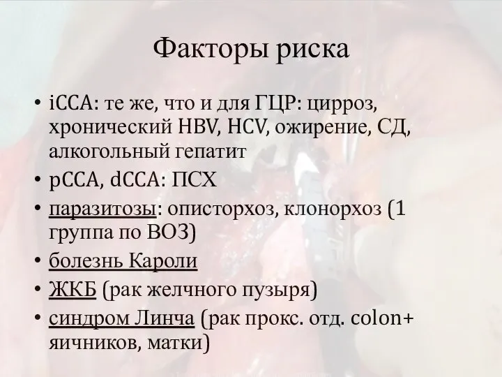 Факторы риска iCCA: те же, что и для ГЦР: цирроз, хронический HBV,