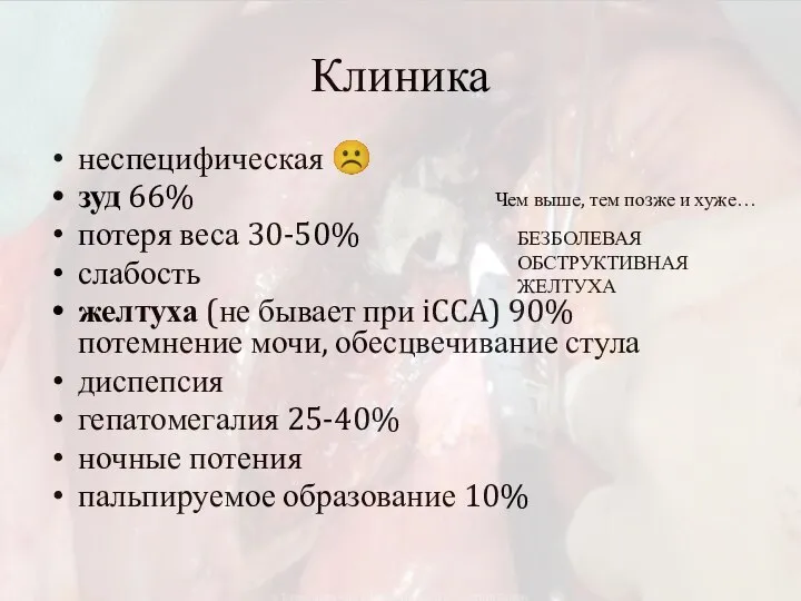 Клиника неспецифическая ☹ зуд 66% потеря веса 30-50% слабость желтуха (не бывает