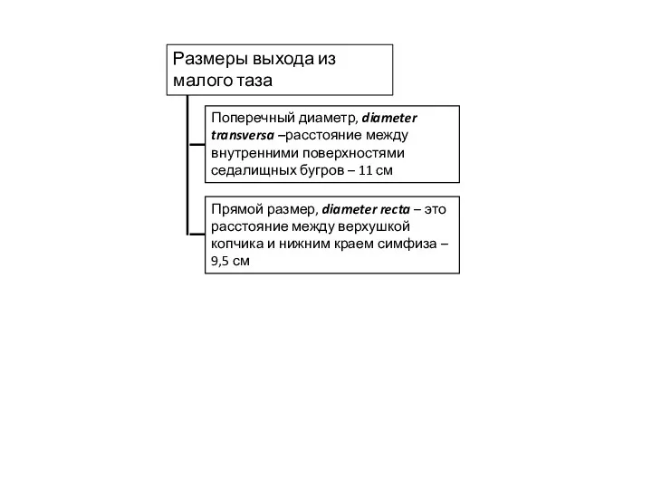 Размеры выхода из малого таза Прямой размер, diameter recta – это расстояние