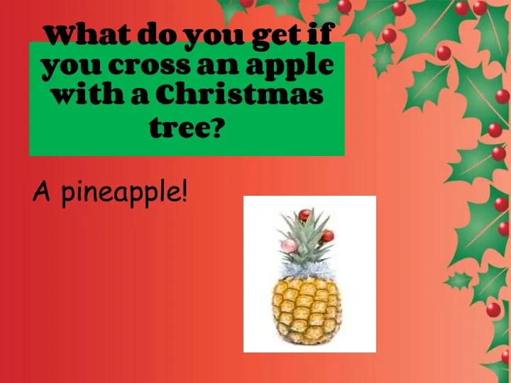 What do you get if you cross an apple with a Christmas tree? A pineapple!