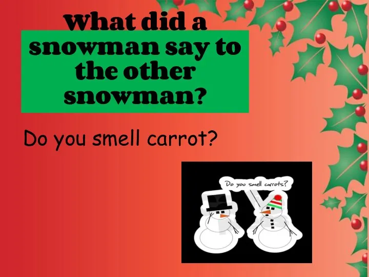 What did a snowman say to the other snowman? Do you smell carrot?