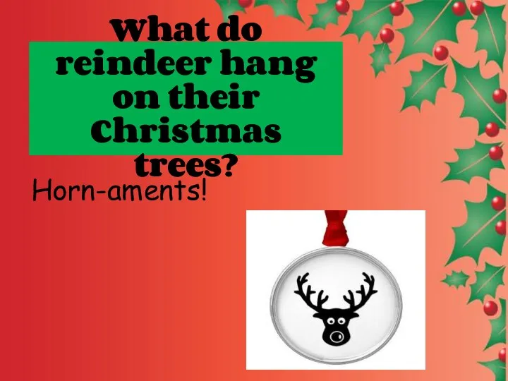What do reindeer hang on their Christmas trees? Horn-aments!