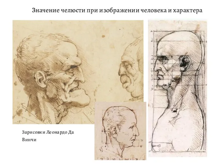 Значение челюсти при изображении человека и характера Зарисовки Леонардо Да Винчи