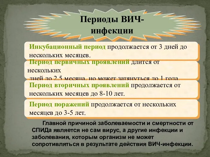 Периоды ВИЧ-инфекции Инкубационный период продолжается от 3 дней до нескольких месяцев. Период