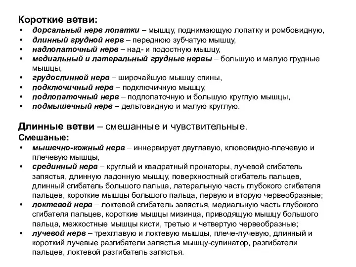 Короткие ветви: дорсальный нерв лопатки – мышцу, поднимающую лопатку и ромбовидную, длинный