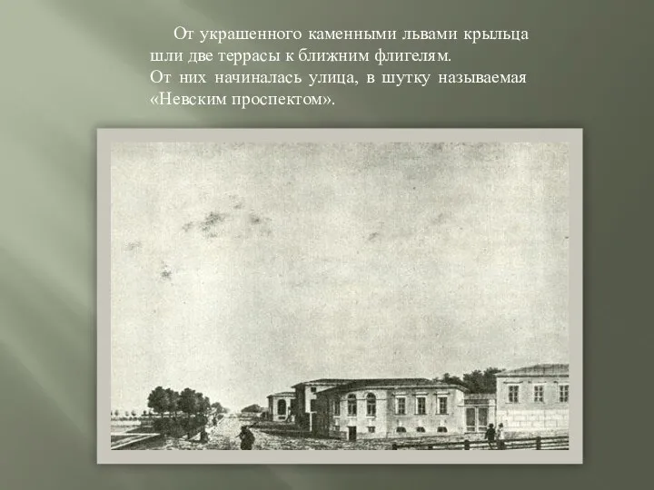 От украшенного каменными львами крыльца шли две террасы к ближним флигелям. От