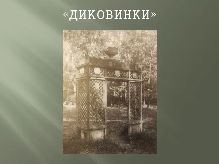 «ДИКОВИНКИ»