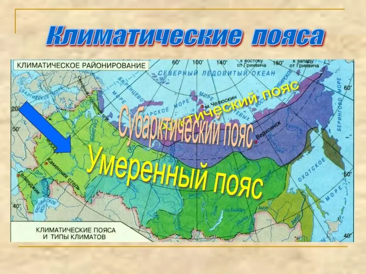 Арктический пояс Субарктический пояс Умеренный пояс Климатические пояса