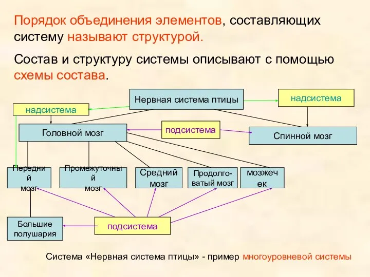 Порядок объединения элементов, составляющих систему называют структурой. Состав и структуру системы описывают