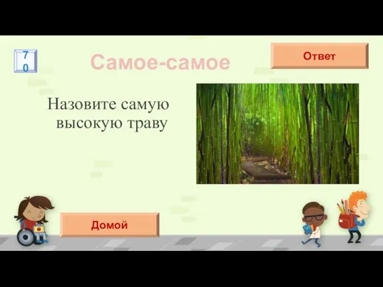 Назовите самую высокую траву Самое-самое Бамбук Ответ 70 Домой