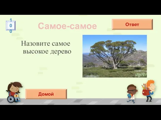 Назовите самое высокое дерево Самое-самое Эвкалипт Ответ 100 Домой