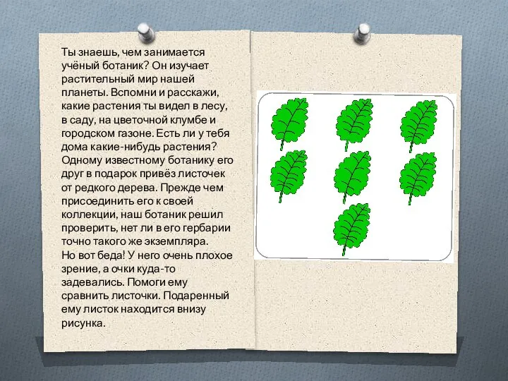 Ты знаешь, чем занимается учёный ботаник? Он изучает растительный мир нашей планеты.