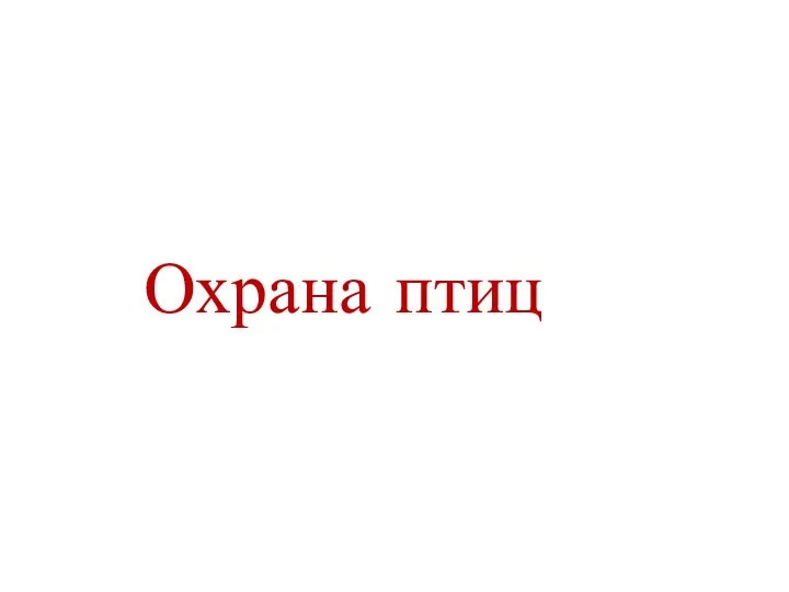 Охрана птиц