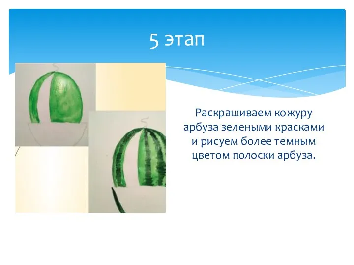 5 этап Раскрашиваем кожуру арбуза зелеными красками и рисуем более темным цветом полоски арбуза.