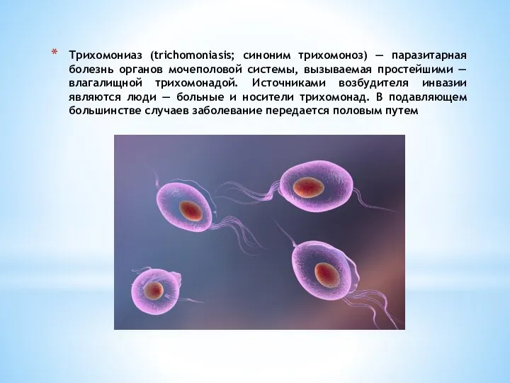 Трихомониаз (trichomoniasis; синоним трихомоноз) — паразитарная болезнь органов мочеполовой системы, вызываемая простейшими