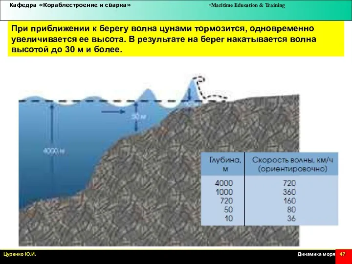 При приближении к берегу волна цунами тормозится, одновременно увеличивается ее высота. В