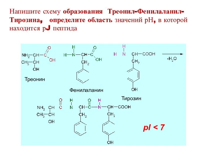Треонин Фенилаланин Тирозин Напишите схему образования Треонил-Фенилаланил-Тирозина, определите область значений рН, в