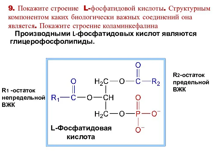 9. Покажите строение L-фосфатидовой кислоты. Структурным компонентом каких биологически важных соединений она