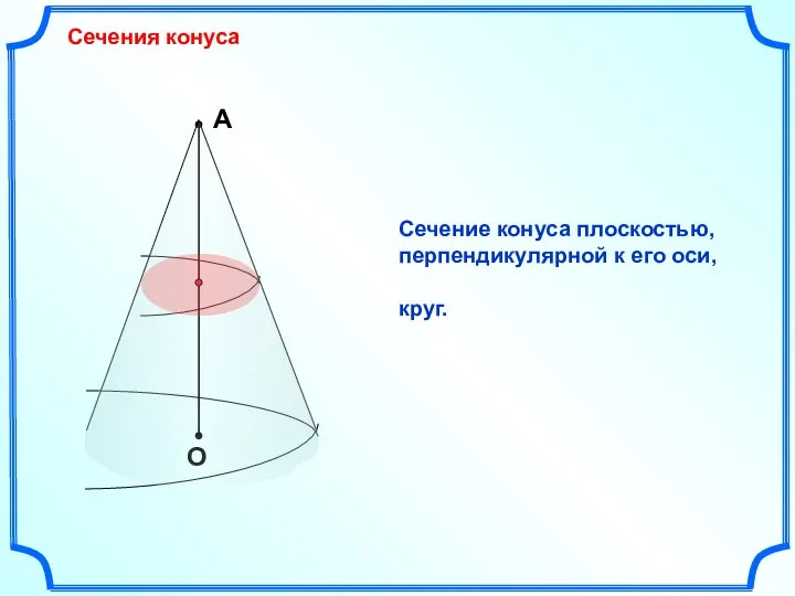 А О Сечения конуса Сечение конуса плоскостью, перпендикулярной к его оси, круг.