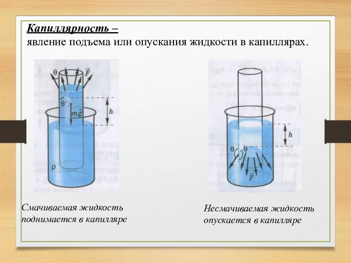 Капиллярность – явление подъема или опускания жидкости в капиллярах. Смачиваемая жидкость поднимается