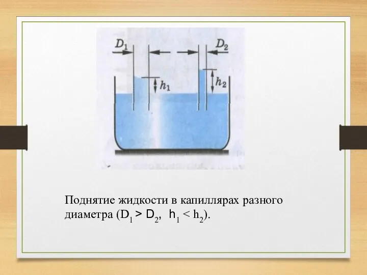 Поднятие жидкости в капиллярах разного диаметра (D1 > D2, h1